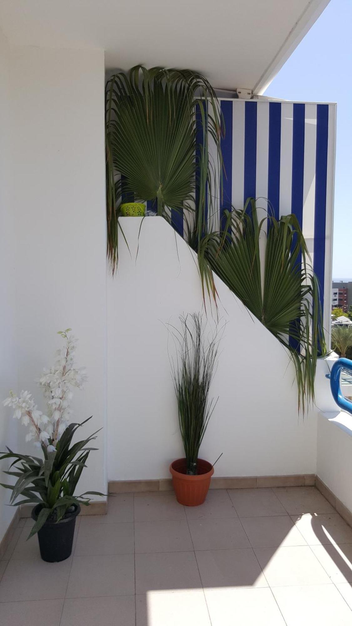 Paraiso Del Sur Playa Paraiso  Exteriör bild